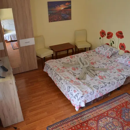 Casa Cu Fluturi ホームステイ