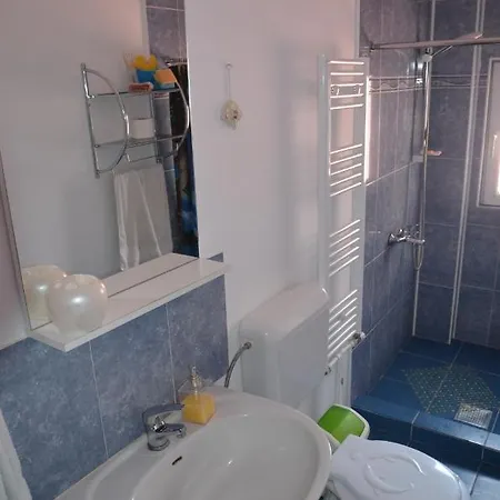 ホームステイ Casa Cu Fluturi