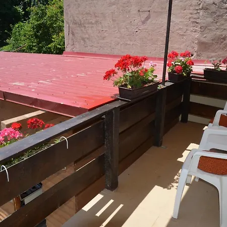 ホームステイ Casa Cu Fluturi コンスタンツァ