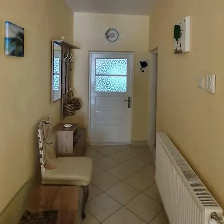ホームステイ Casa Cu Fluturi *