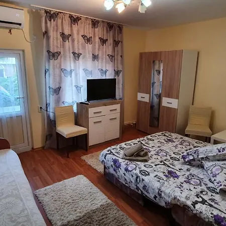 ホームステイ Casa Cu Fluturi *