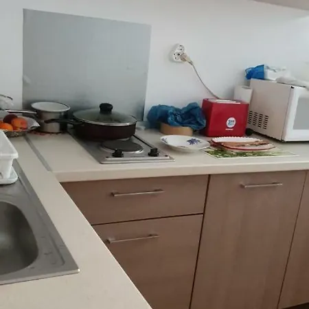 ホームステイ Casa Cu Fluturi