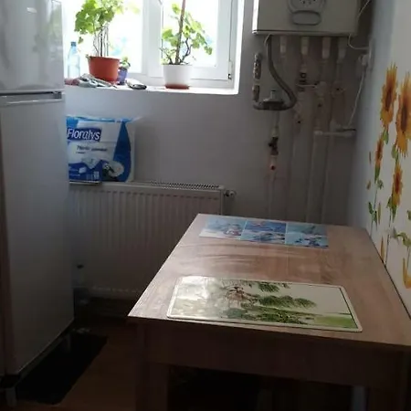 ホームステイ Casa Cu Fluturi *
