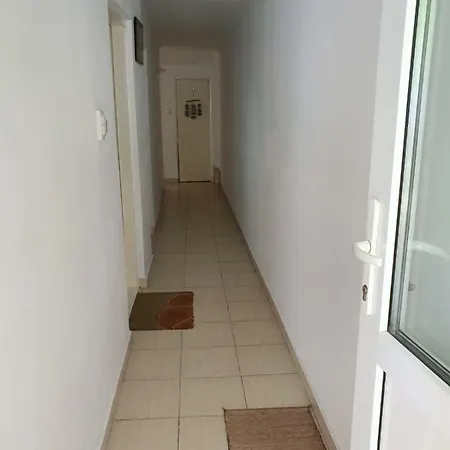 Casa Cu Fluturi コンスタンツァ