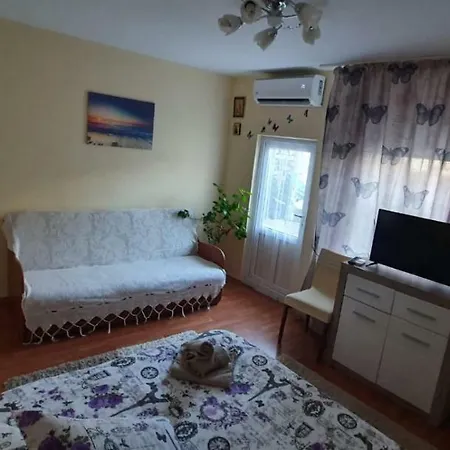 ホームステイ Casa Cu Fluturi コンスタンツァ