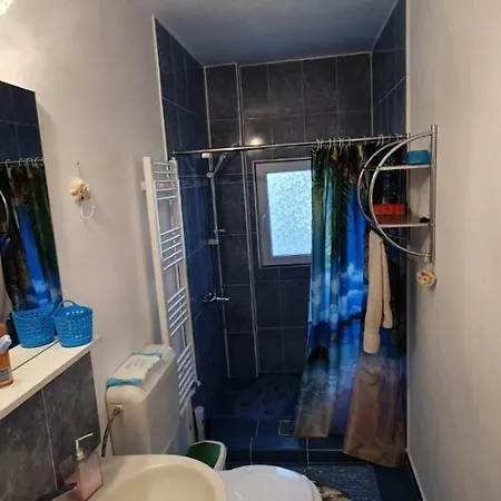 ホームステイ Casa Cu Fluturi コンスタンツァ
